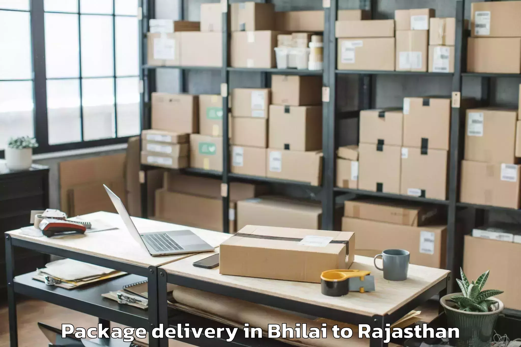 Easy Bhilai to Chaksu Package Delivery Booking